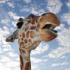 Meet your Posher, Kristina